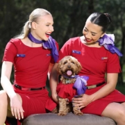 Pet-Friendly Travel: Virgin Australia Reveals Intention to Launch In-Cabin Flights For Pets - Business First Travel Brisbane